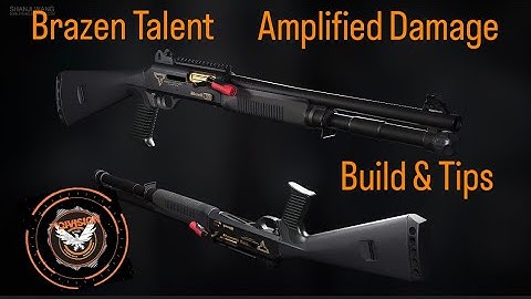 The Best Shotgun Build & Tips For Darkzone PvP (Updated) - The Division 2 #thedivision2 #pvp