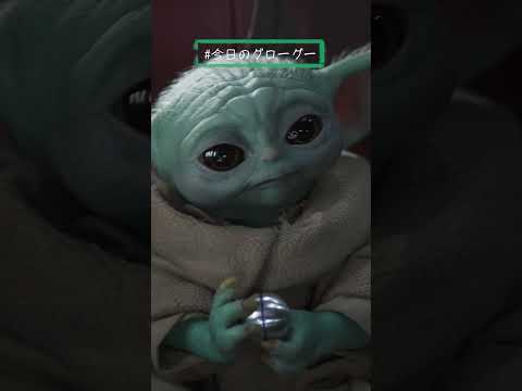名前を呼ばれるグローグー🌱｜マンダロリアン｜Star Wars(スター・ウォーズ) #今日のグローグー #shorts
