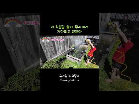 뉴질랜드 텃밭에 뜬 진짜 무지개