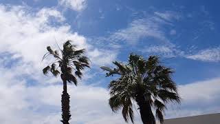 Airbus Brings The A321Neo To Madeira D-Avxa