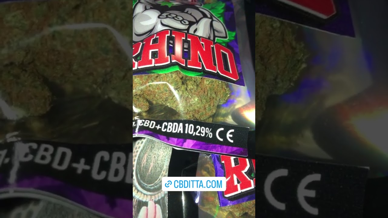 WHITE RHINO NUOVA GENETICA CBD DISPONIBILE