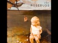 The Rosebuds - Woods