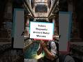 India’s Stepwells: Ancient Water Marvels #shorts