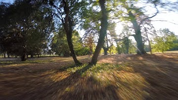 The Park of the Old University | FPV Freestyle ITA