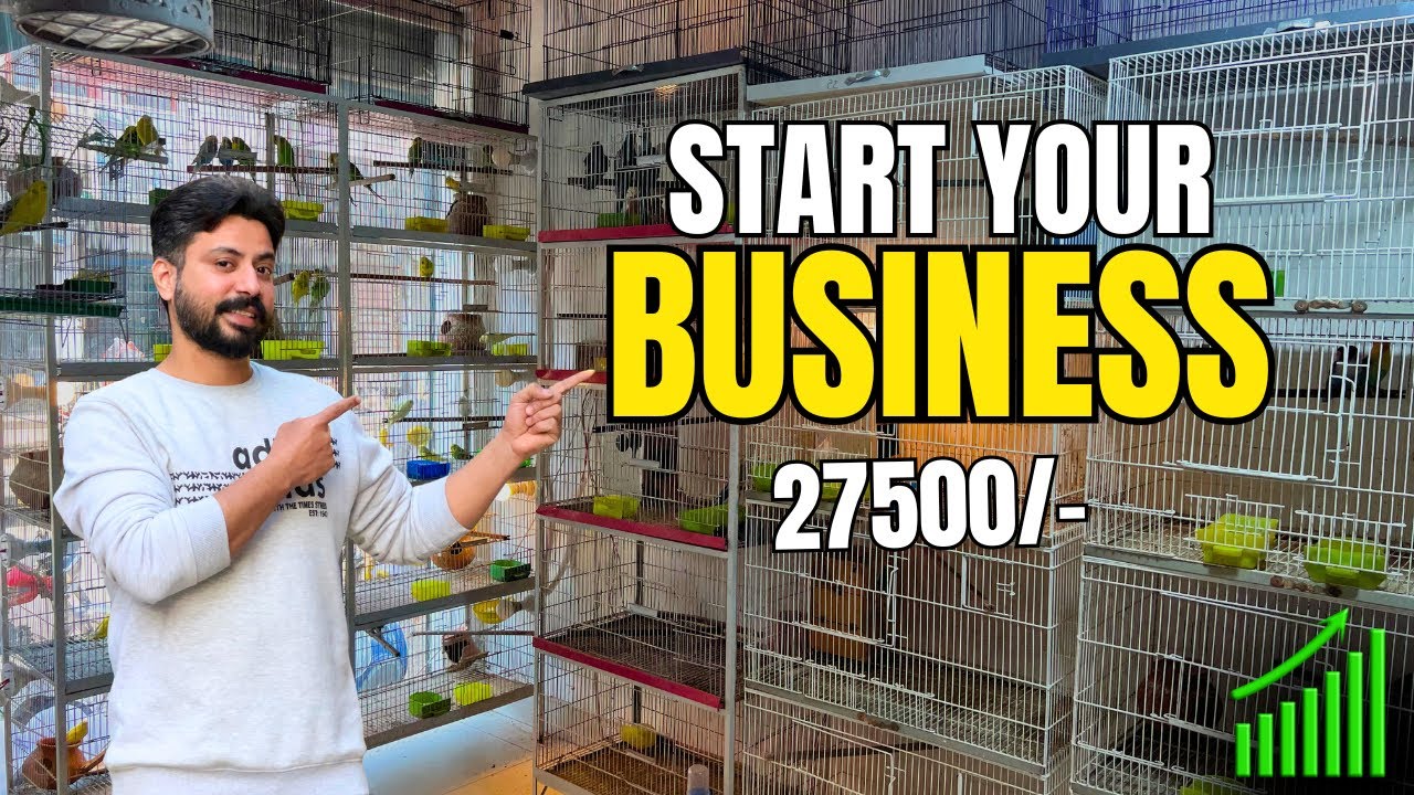 How to Start a Bird Business (Low Investment) || #minizoo #petsvlog # ...