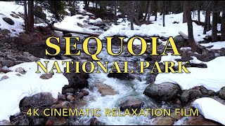 Sequoia National Park, Topokah Falls, Spring 2024  4K Relaxation Film