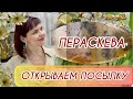 ПЕРАСКЕВА🐝ОТКРЫВАЕМ ПОСЫЛКУ💍НОВИНКИ С ВЫСТАВКИ🐝Созвездие Красоты💍Фамильные Драгоценности🐝925💍