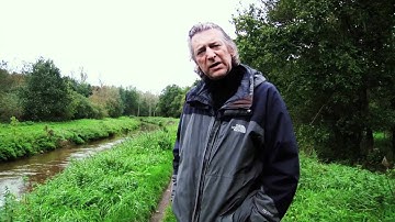 Bos van de maand: De Merode in Westerlo