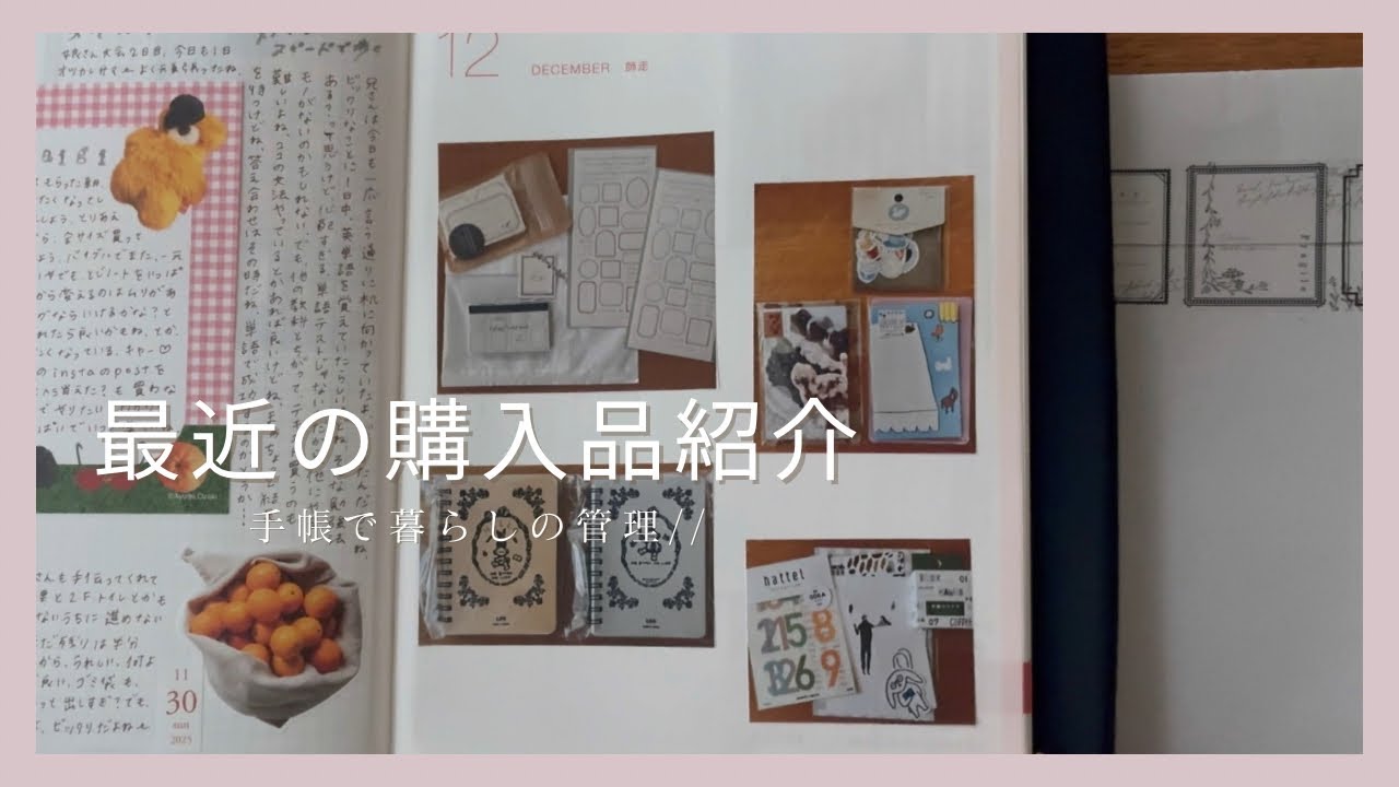 ［購入品］12月の購入品📖いろいろ //