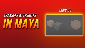 Transfer Attributes in Maya - Copy UV - Maya 2024