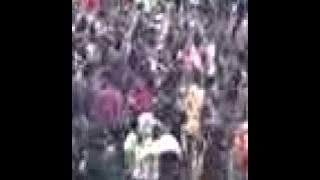 panci rasta-Ilahilas live in gelora ngalur