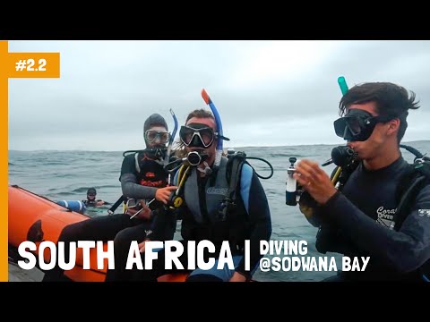 Video: 7 van die beste duikbestemmings in Suid-Afrika