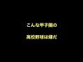 こんな甲子園の高校野球は嫌だ