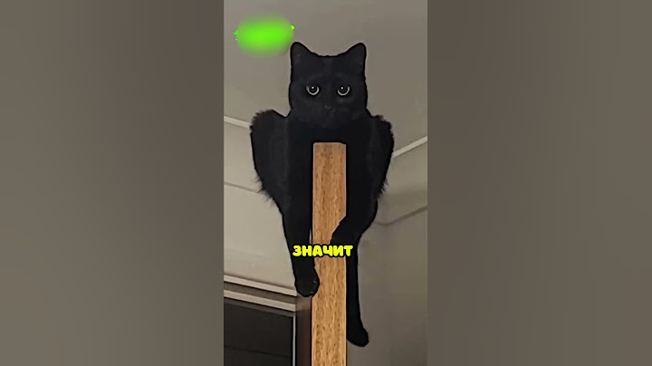 Если вы увидите этого кота, бегите! 😨