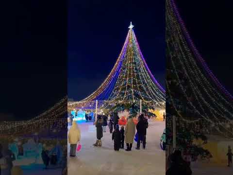 Читинская ëлка.#россия,#ëлка,#shorts,#новыйгод,#newyear,#праздник,#гуляния,#зима,#отдых,#tree,#топ1