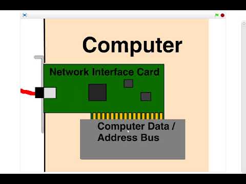 8 The Ethernet Frame
