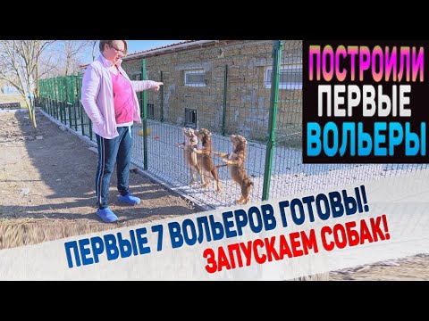 Достроили наш идеальный питомник! Хотим парк для собак! Запускаем собак и щенков в уличные вольеры.