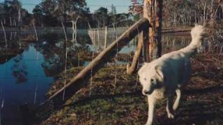 Watch Slim Dusty Along The Road Of Song video