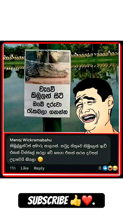කිඹුලන්ටත් අමාරු කාලයක් 😂🤣🤣🤣 #memes #funny #srilanka #funnyimages #funnymemes