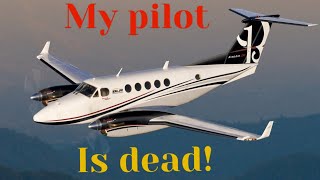 Pilot Down: Passenger Becomes Hero | Doug White KING AIR N559DW