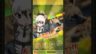 Kemono Friends Festival Aardwolf