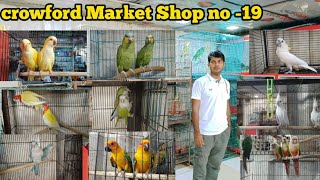 VISIT Crowford Market! RAMIZ (82862 14243) #Excoticbird #jumbobuggies