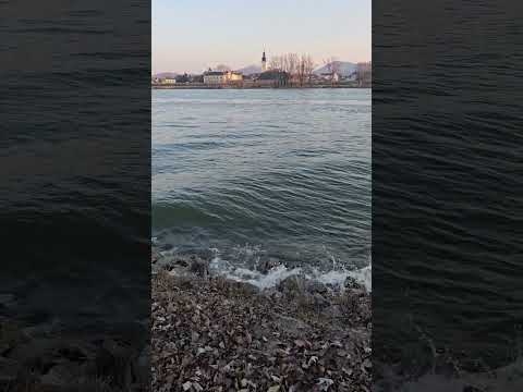 #Blaue Donau#Liebeundleben.eu 💥
