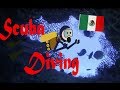 HD** Amazing Scuba Dive in Mexico!! (( SeaLife Micro 2.0 ))