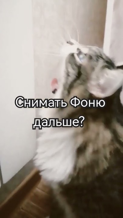 #Фоня - YouTube