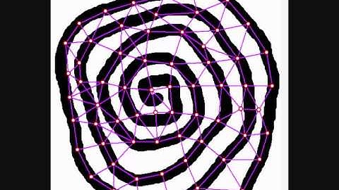 Self-Growing and Self-Organized Neural Gas (SGONG )