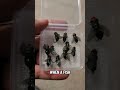 Realistic fly lures 10pk grab them in my TikTok shop https://www.tiktok.com/t/ZTMnsesGL/ #fyp #lures