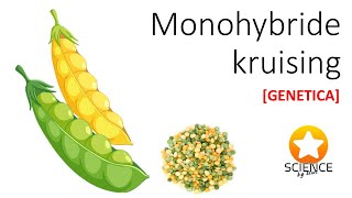 Monohybrid Cross [ GENETICS ]