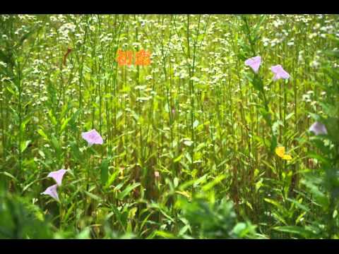 村下孝蔵　(　初恋　)　　Cover