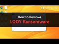 Looy ransomware removal guide