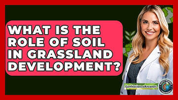 What Is The Role Of Soil In Grassland Development? - Earth Science Answers