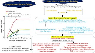 Compensated Heart Failure & Decompensated Heart Failure. Chapter 22 part 2. Guyton and Hall Physio
