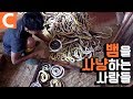 해외 극한직업! 인도네시아 땅꾼의 '뱀' 사냥