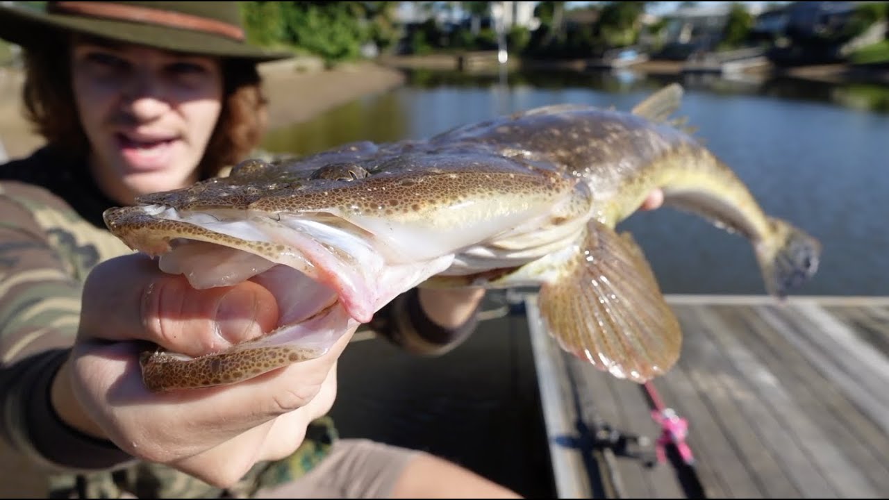 24 Hour FISHING CHALLENGE Eating Only What I Catch DEADLY ANIMALS 24-hour-fishing-challenge-eating-only-what-i-catch-deadly-animals