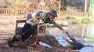 Discover Colorado’s most famous gator and the important work at this family-friendly reptile park