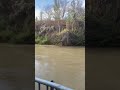 Relaxing River View 🍂🌊 | Calm Nature & Peaceful Autumn Vibes #relax #nature #calm #relaxing #autumn