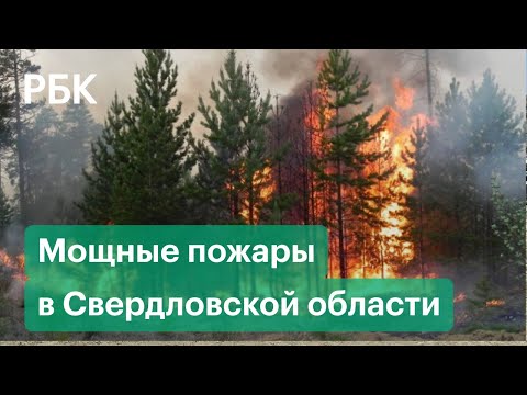 Причиной сильного пожара на трассе Екатеринбург- Пермь мог стать поджог