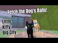 Little Kitty Big City - Fetch the Dogs Balls Walkthrough
