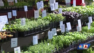 Piedmont Earth Day Fair celebrates local efforts to keep the planet healthy