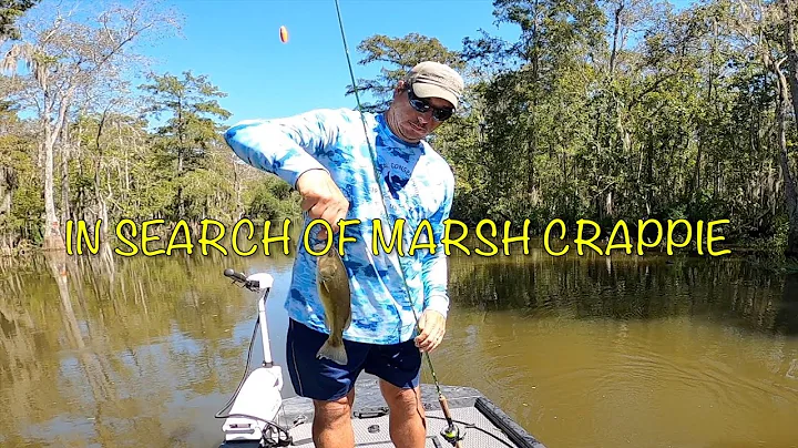 In search of marsh crappie