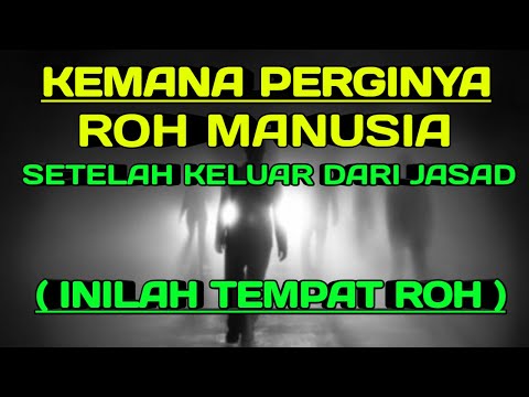 Video: Ke Mana Perginya Manusia