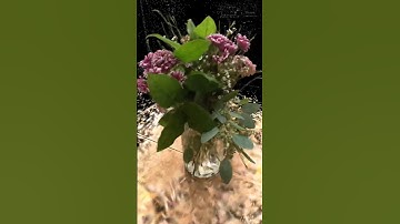 Gaussian splat magic reveal #gaussiansplatting #spatialcomputing #3dscanning