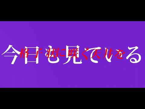 (文字PV)廃墟の国のアリス　(capCut)