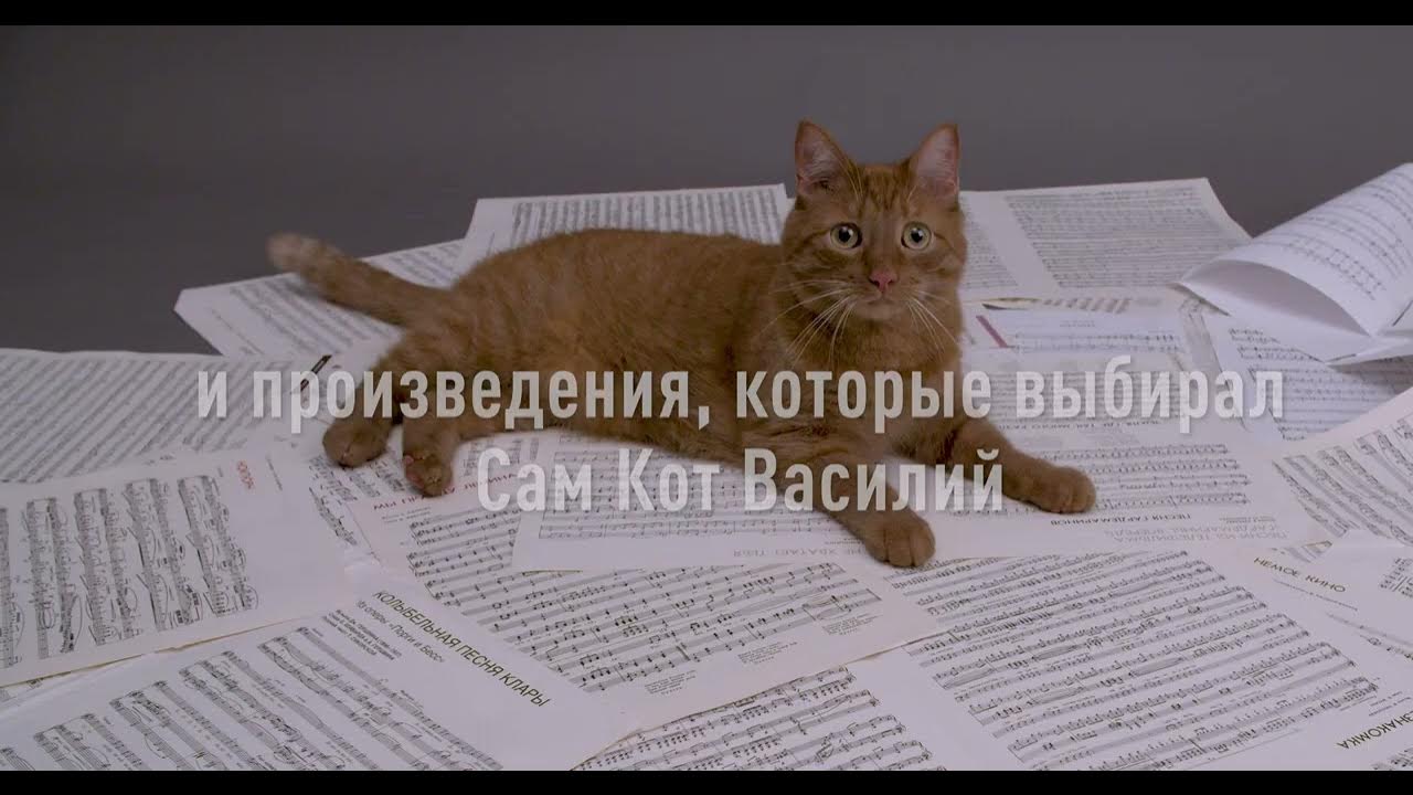Произведение кот. Вопросы к тексту кот ворюга. Кот в литературных произведениях. Кошки в литературных произведениях. Произведение кот.