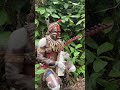 Bossengue Plays Harp and Sings the Sacred Music of Bwiti. Moughenda Village, Gabon