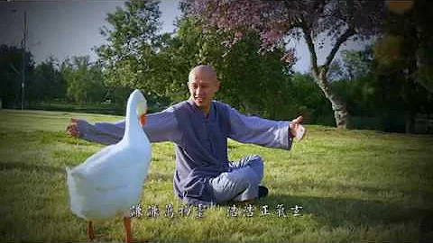 放生歌 - 天天要聞